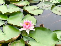 -长广溪湿地公园