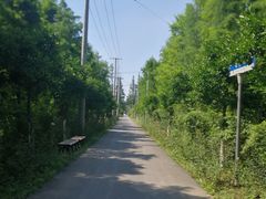 -上海长兴岛郊野公园