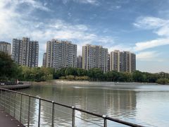 -南翔镇银翔湖公园