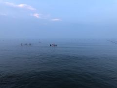 -海滨浴场
