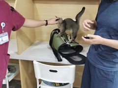 -芭比堂动物医院·CT·微创中心(新顺分院)