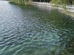 -芦芽山旅游度假区