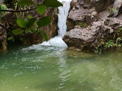-南海湾森林生态园