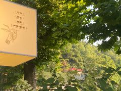 -庐山风景区花径公园