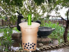 -东湖落雁景区