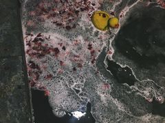 -北京美神宫艺术主题温泉酒店