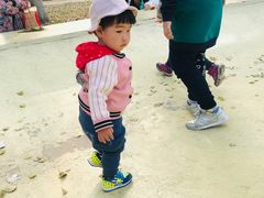 -长白岛森林公园