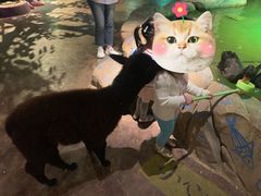 -zoonana室内动物园(东方福来德店)