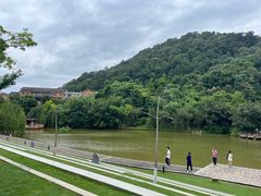 -神光山国家森林公园