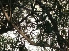 -苏州河梦清园环保主题公园