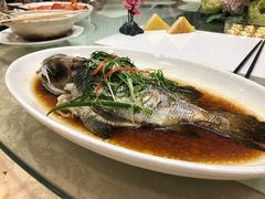 -新世纪大酒楼·30年南海菜
