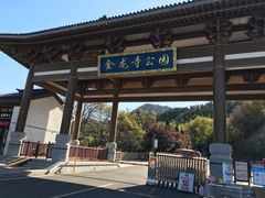 -金龙寺国家森林公园