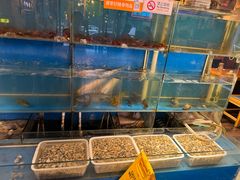 -小俩口烧烤东北菜(双井店)