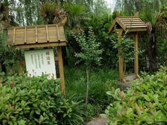 -灵山莲花公园-温泉度假区