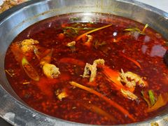 -蜀滋香鲜鱼美蛙火锅(339店)