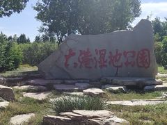 -大港湿地公园