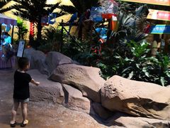 -杭州开元森泊度假乐园