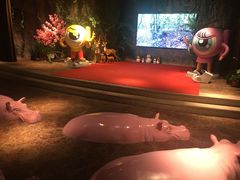 -zoonana室内动物园(东方福来德店)