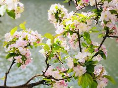 -海棠花溪(元大都城垣遗址公园)