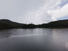 -海南热带雨林国家公园吊罗山景区