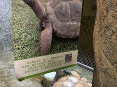 -青青世界