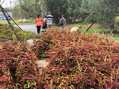 -回龙观体育文化公园