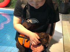 -Goku PET SHOP宠物视觉生活馆(双井店)