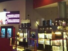 -新影联·华谊兄弟影院(望京店)