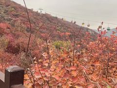 -香山公园