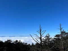-峨眉山风景名胜区