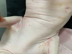 -瑞派·爱瑞可动物医院·口腔专科(广华新城分院)