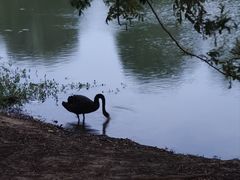 -瑶湖郊野森林公园