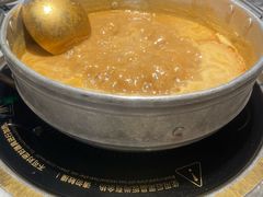 -禄婶鸡煲·打边炉