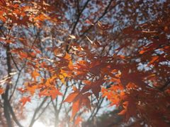-南山风景名胜区
