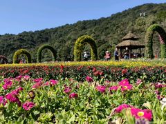 -广州市石门国家森林公园
