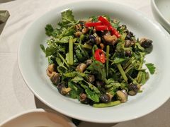 香菜拌螺狮肉-孔乙己酒家(虹桥路店)