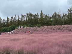 -嘉北郊野公园