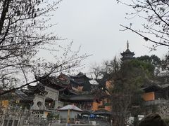 -鸡鸣赐茶(鸡鸣寺路店)