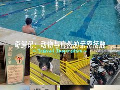 -宁波九龙湖开元度假村