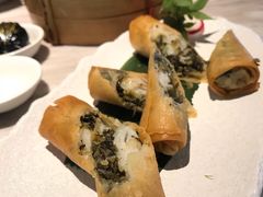 龙利鱼雪菜春卷-广雅茶楼(柳州一店)