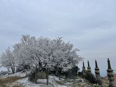 -长沙黑麋峰国家森林公园