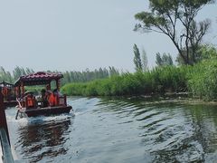 -白洋淀景区