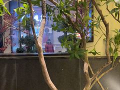 -杏花村水席楼·洛阳水席(老城十字街店)