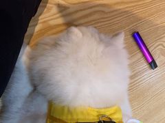 -伽利略剧本探案馆(国贸店)