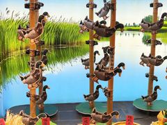 -白鹭湾湿地公园