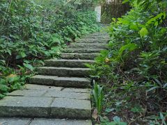 -水濂山森林公园