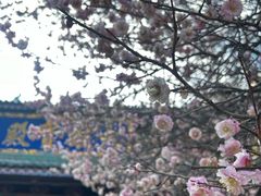 -盘龙寺
