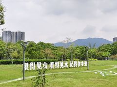 -飞来湖湿地公园