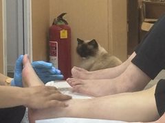 -郑远元专业修脚房(安海鸿江西路店)