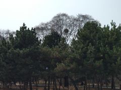 -北陵公园